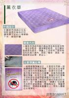 薰衣草獨立筒床墊